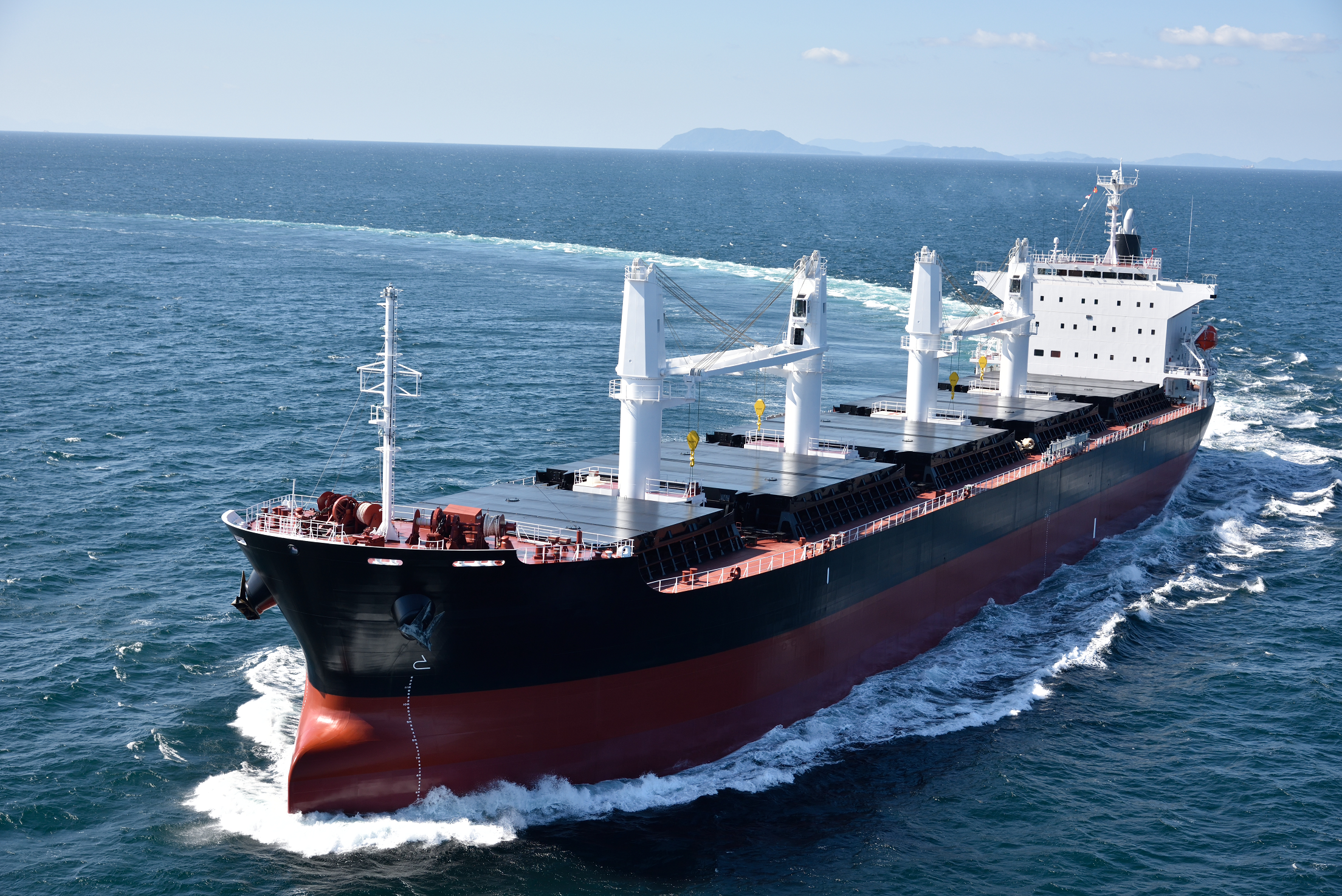 dry bulk cargo