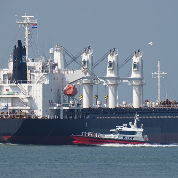 dry bulk cargo2