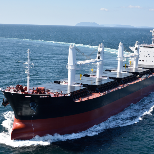 dry bulk cargo