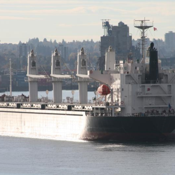 dry bulk cargo enplo